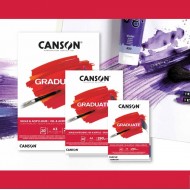Canson Graduate Oil & Acrylic 290 GSM 20 SHEETS